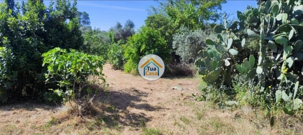 Terreno para Venda em Toulões