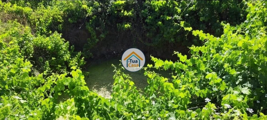 Terreno para Venda em Toulões Foto 10