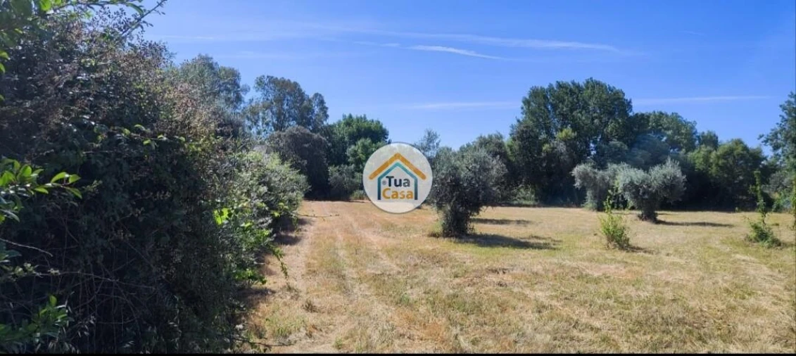 Terreno para Venda em Toulões Foto 3