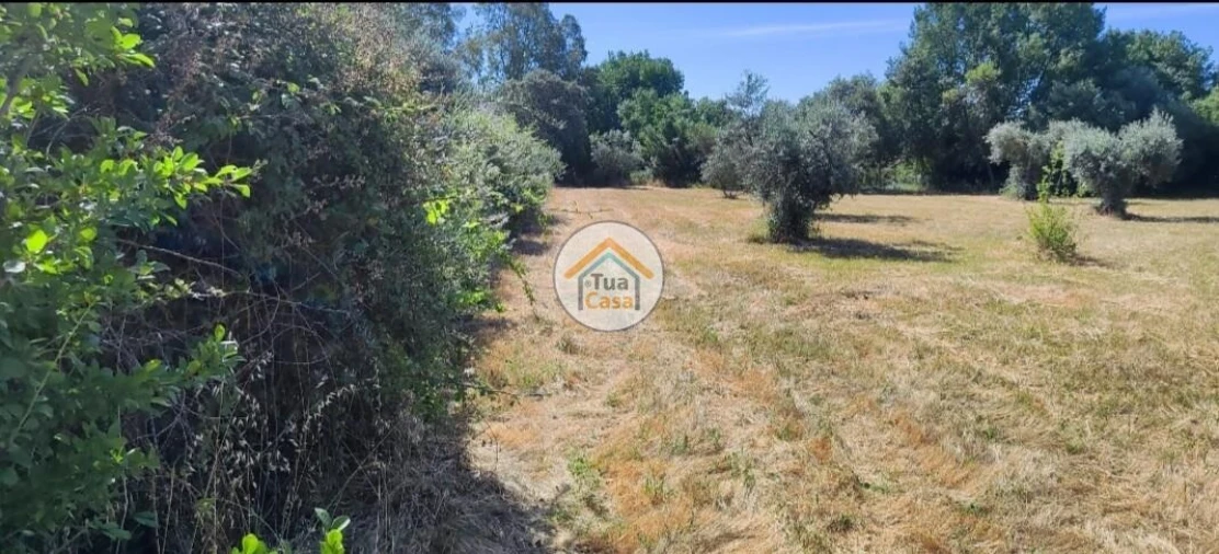 Terreno para Venda em Toulões Foto 14