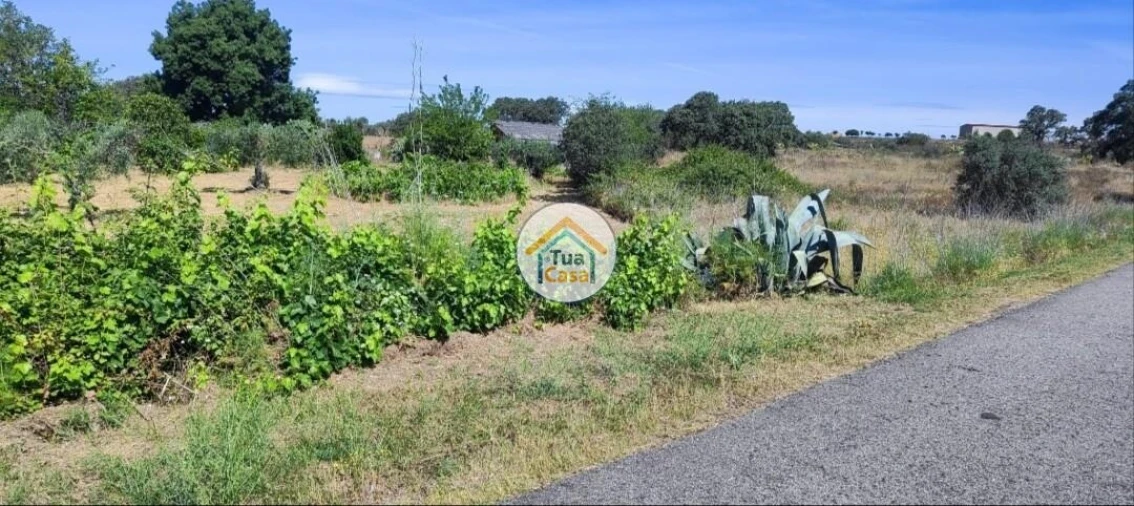 Terreno para Venda em Toulões Foto 4