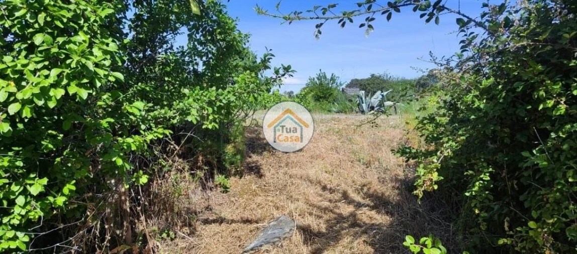 Terreno para Venda em Toulões Foto 5