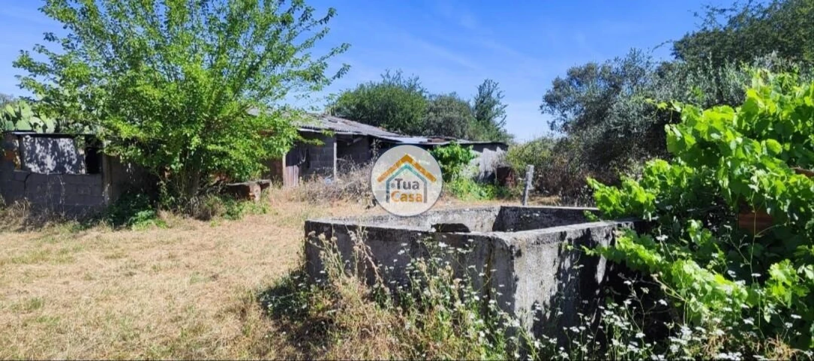 Terreno para Venda em Toulões Foto 7