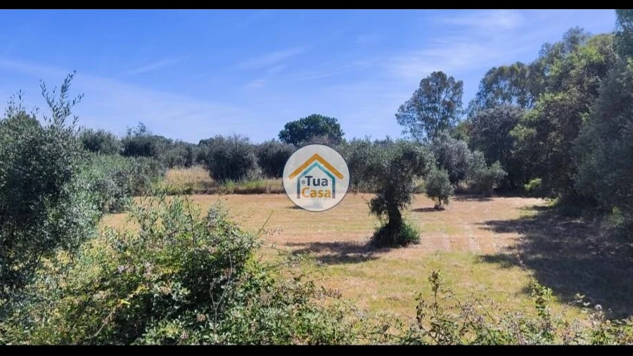 Terreno para Venda em Toulões