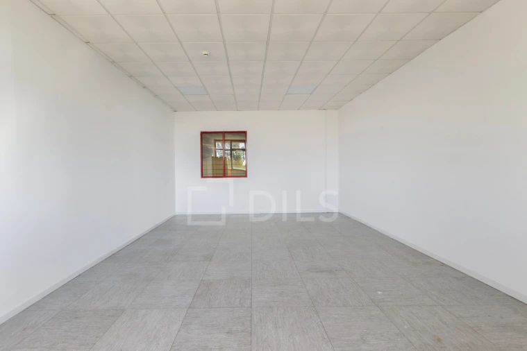Armazém para Arrendamento em Quinta do Anjo Foto 16