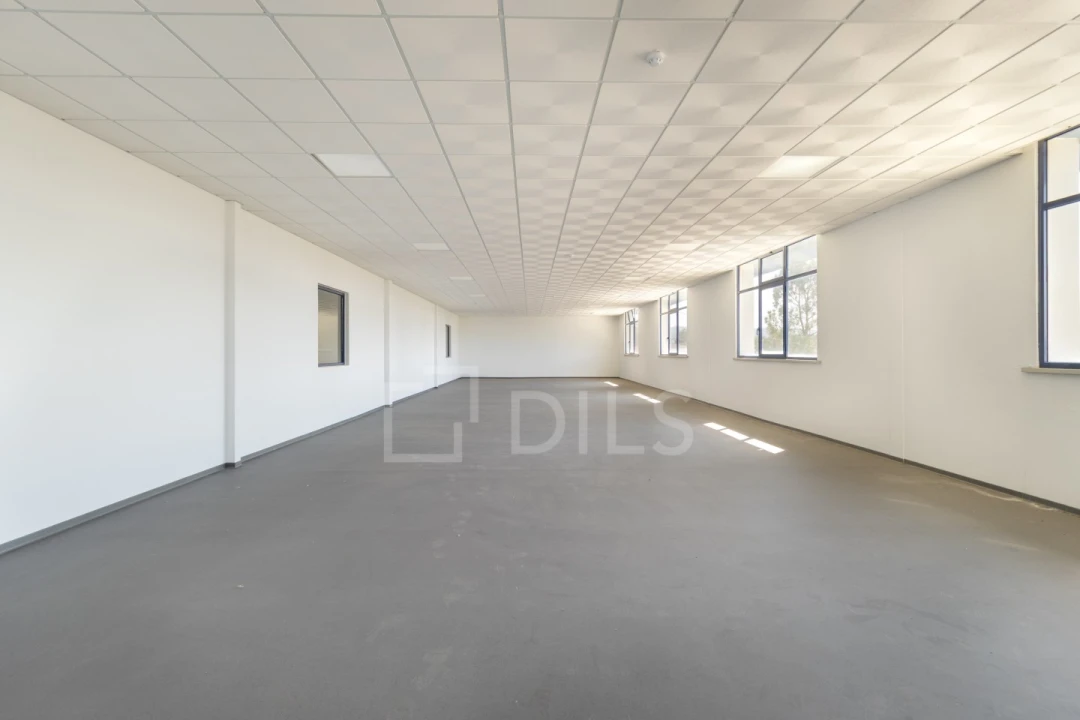 Armazém para Arrendamento em Quinta do Anjo Foto 18