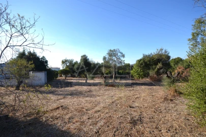 Moradia T2 para Venda em Loule (São Clemente)