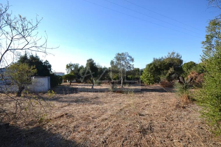 Moradia T2 para Venda em Loule (São Clemente) Foto 24