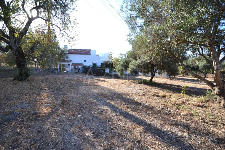 Moradia T2 para Venda em Loule (São Clemente) Foto 27