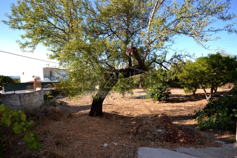 Moradia T2 para Venda em Loule (São Clemente) Foto 23