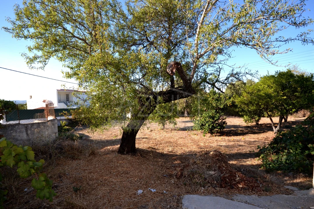 Moradia T2 para Venda em Loule (São Clemente) Foto 23