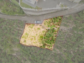 Terreno para Venda em Ponta do Sol