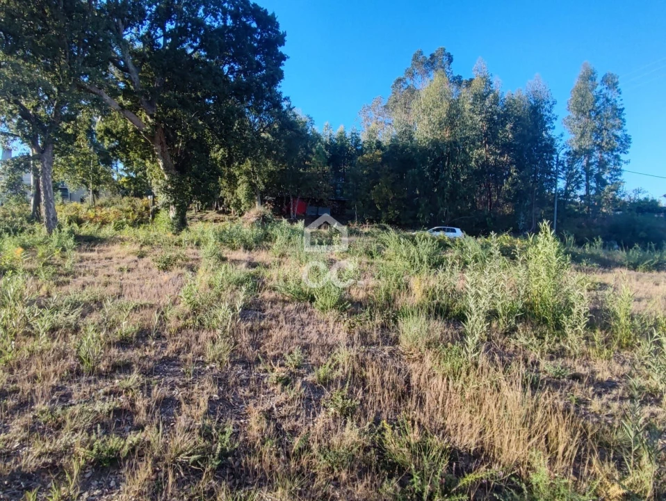 Terreno para Venda em Silvares, Pias, Nogueira e Alvarenga Foto 8