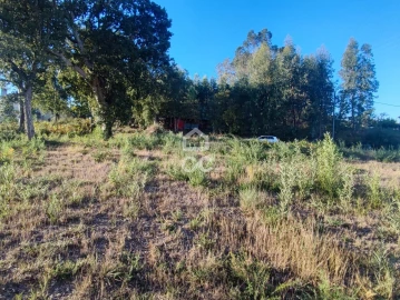 Terreno para Venda em Silvares, Pias, Nogueira e Alvarenga