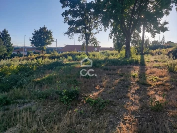 Terreno para Venda em Silvares, Pias, Nogueira e Alvarenga