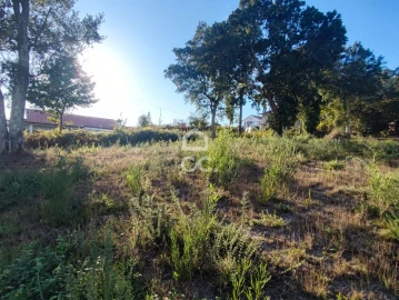 Terreno para Venda em Silvares, Pias, Nogueira e Alvarenga