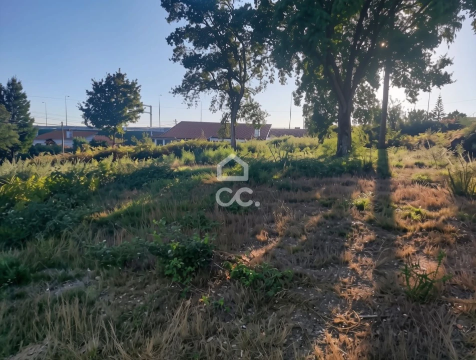 Terreno para Venda em Silvares, Pias, Nogueira e Alvarenga Foto 6
