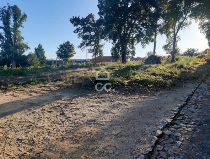 Terreno para Venda em Silvares, Pias, Nogueira e Alvarenga Foto 5