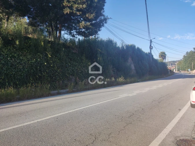 Terreno para Venda em Silvares, Pias, Nogueira e Alvarenga Foto 4