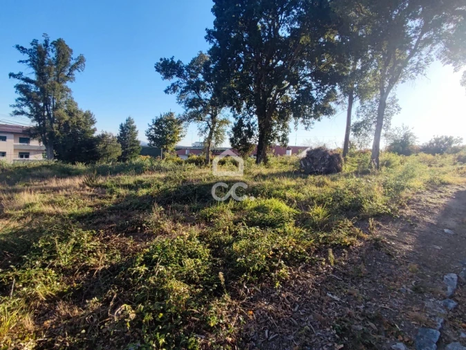 Terreno para Venda em Silvares, Pias, Nogueira e Alvarenga Foto 9