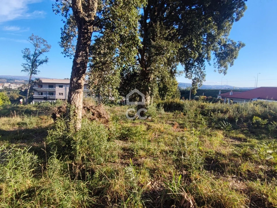 Terreno para Venda em Silvares, Pias, Nogueira e Alvarenga Foto 10