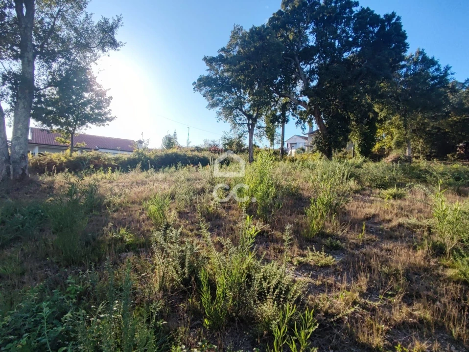Terreno para Venda em Silvares, Pias, Nogueira e Alvarenga Foto 7