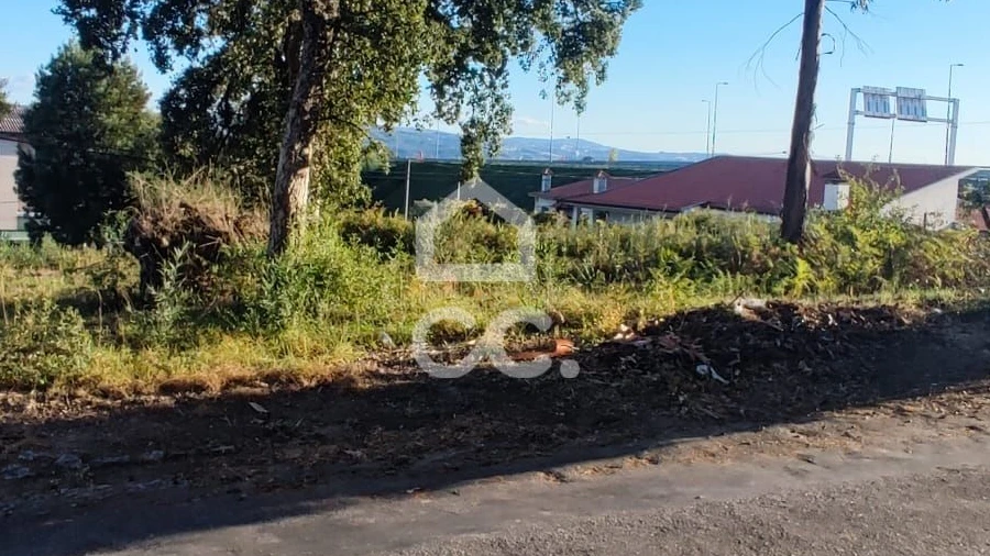 Terreno para Venda em Silvares, Pias, Nogueira e Alvarenga