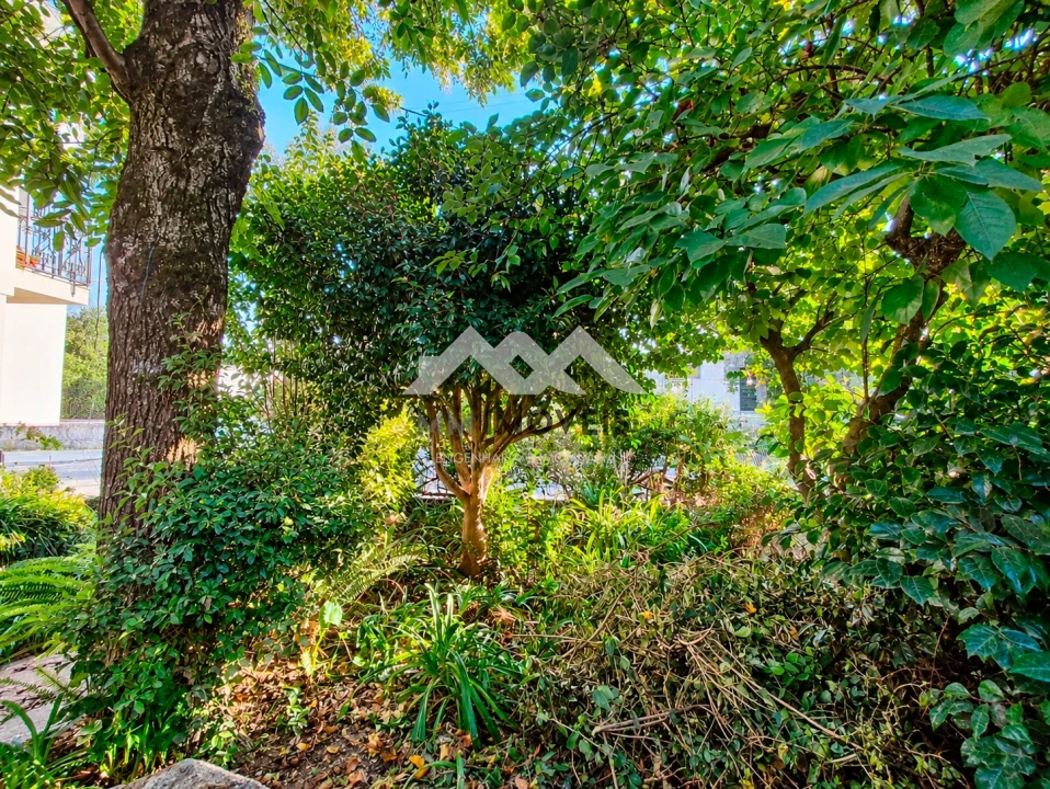 Moradia T2 para Venda em Azurem Foto 35