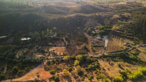 Terreno para Venda em Silves