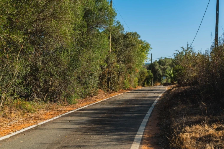 Terreno para Venda em Silves Foto 3
