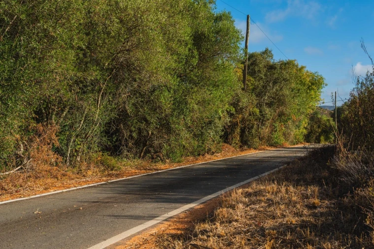 Terreno para Venda em Silves Foto 2