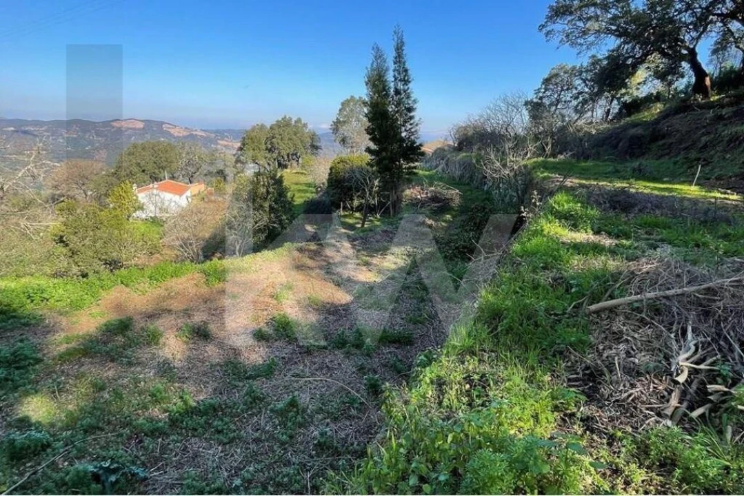 Terreno para Venda em Monchique Foto 11