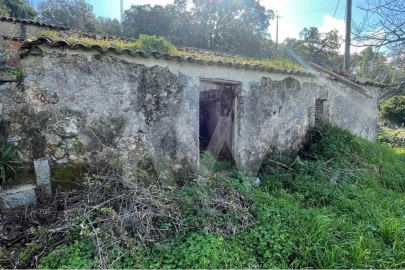 Terreno para Venda em Monchique