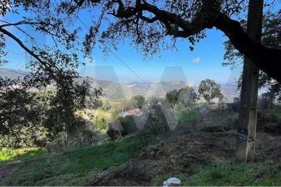 Terreno para Venda em Monchique