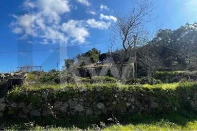 Terreno para Venda em Monchique