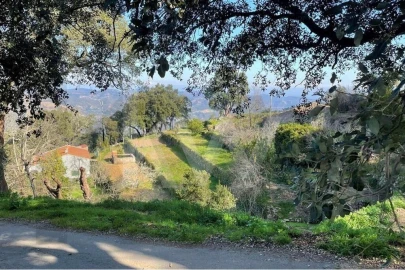 Terreno para Venda em Monchique