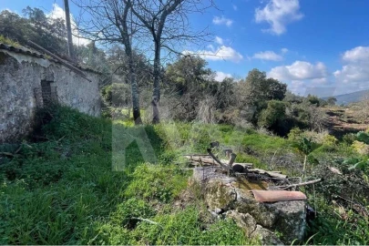 Terreno para Venda em Monchique