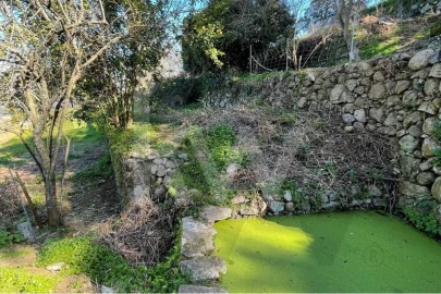 Terreno para Venda em Monchique