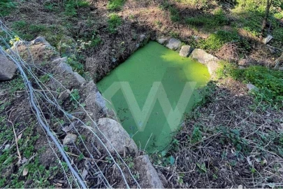 Terreno para Venda em Monchique
