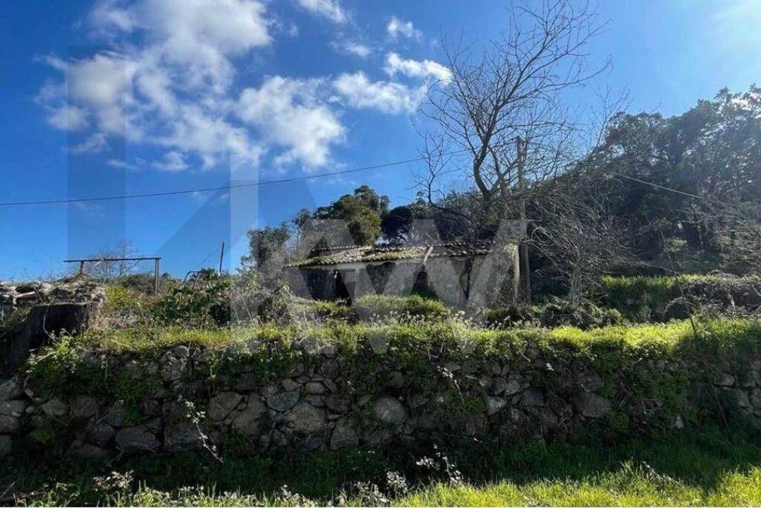 Terreno para Venda em Monchique Foto 20