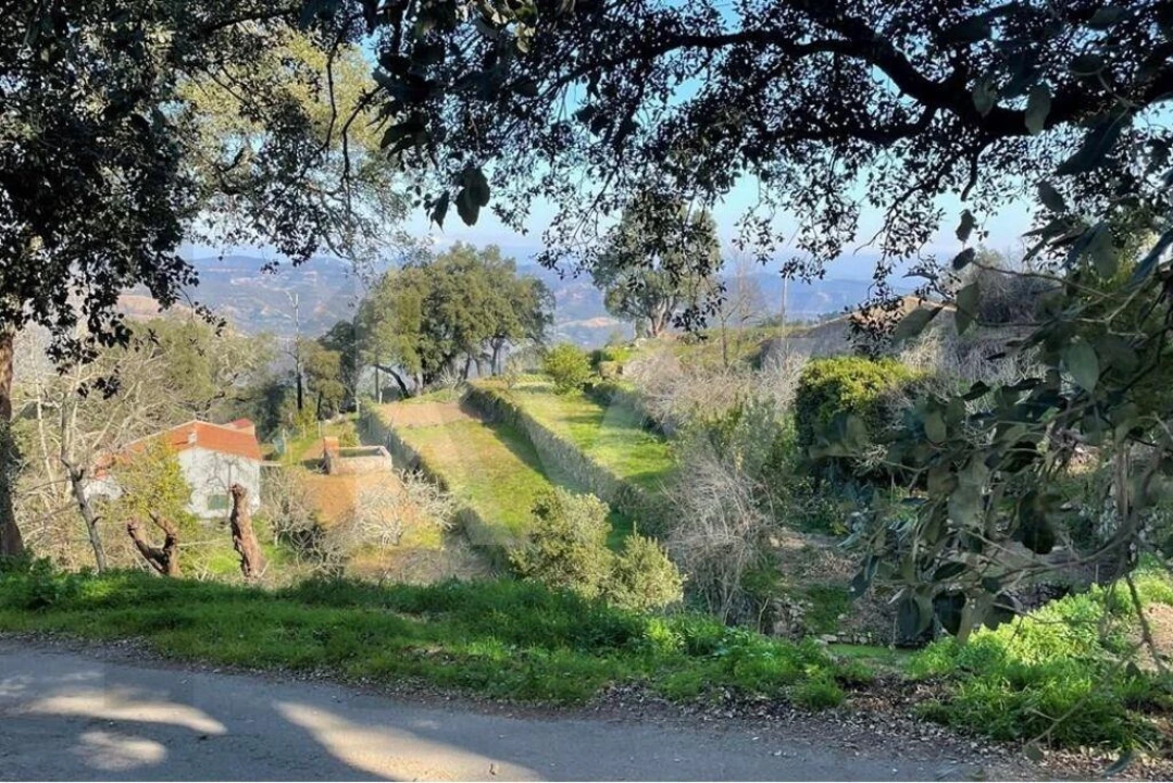 Terreno para Venda em Monchique Foto 10