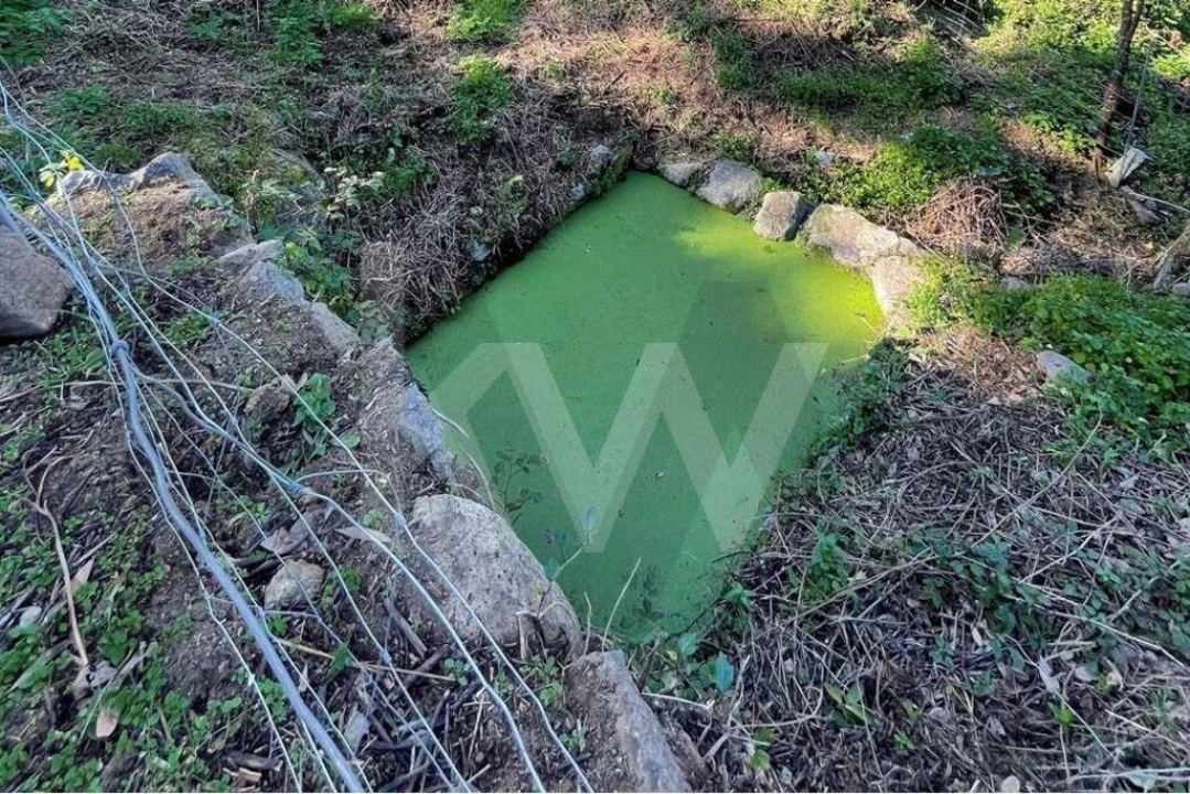 Terreno para Venda em Monchique Foto 8
