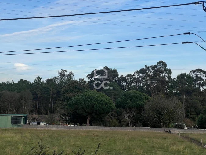 Moradia T3 para Venda em São Romão de Neiva Foto 29