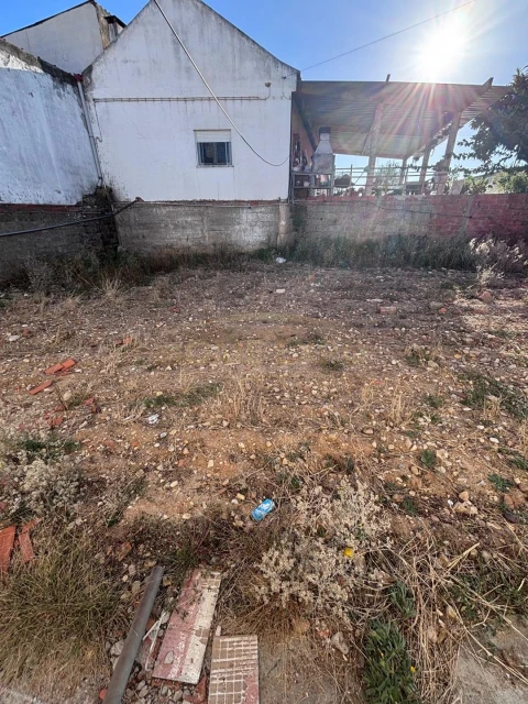 Negócio para Venda em Fazendas de Almeirim