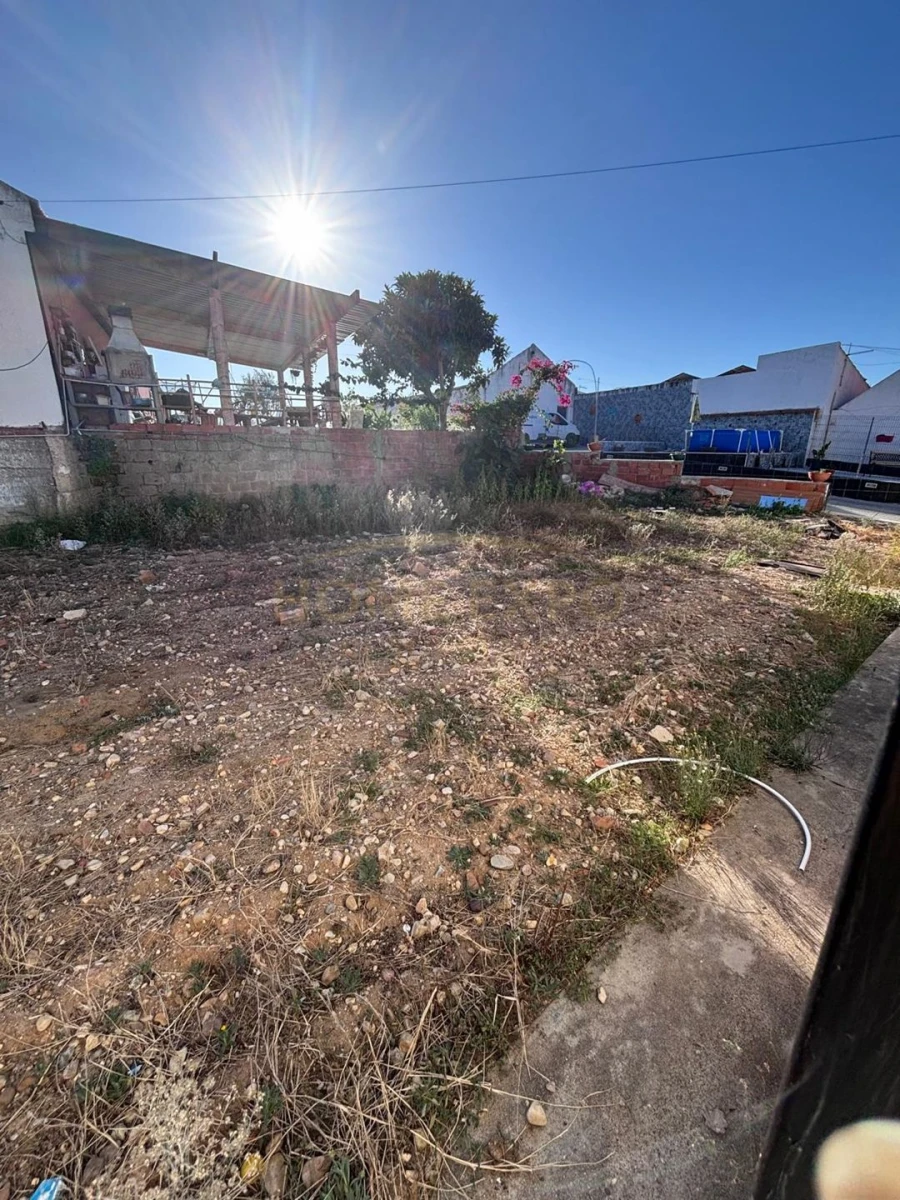 Negócio para Venda em Fazendas de Almeirim Foto 20