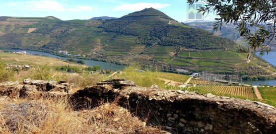 Terreno para Venda em Vale Mendiz, Casal Loivos, Vilarinho Cotas