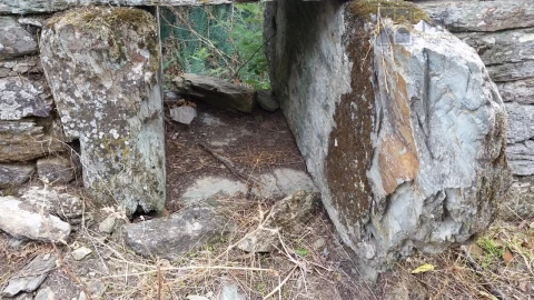 Terreno para Venda em Vale Mendiz, Casal Loivos, Vilarinho Cotas