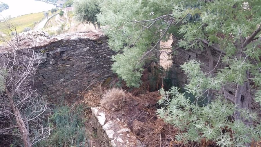 Terreno para Venda em Vale Mendiz, Casal Loivos, Vilarinho Cotas Foto 4
