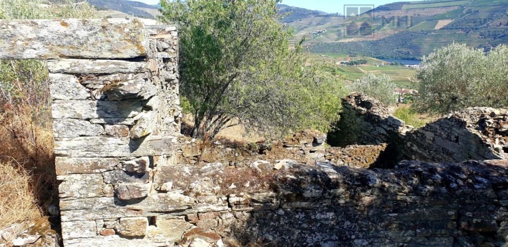 Terreno para Venda em Vale Mendiz, Casal Loivos, Vilarinho Cotas Foto 8