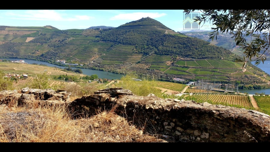 Terreno para Venda em Vale Mendiz, Casal Loivos, Vilarinho Cotas